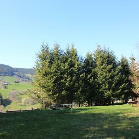 Gite Les Jonquilles Daire Le Bonhomme Dış mekan fotoğraf